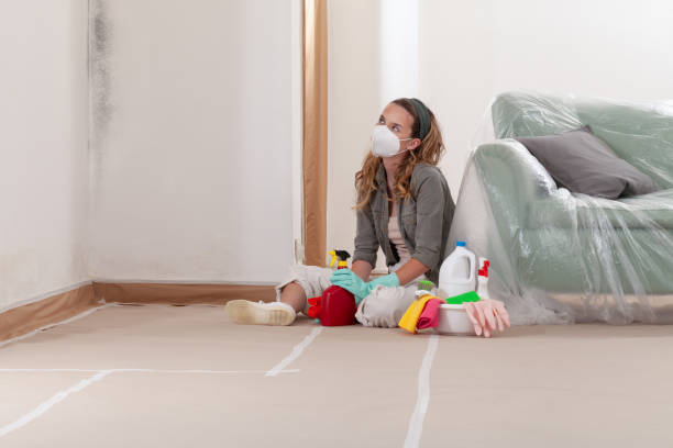 Reliable Black Mold Removal contractor in Bryn Mawr, PA by WQB Mold Removal